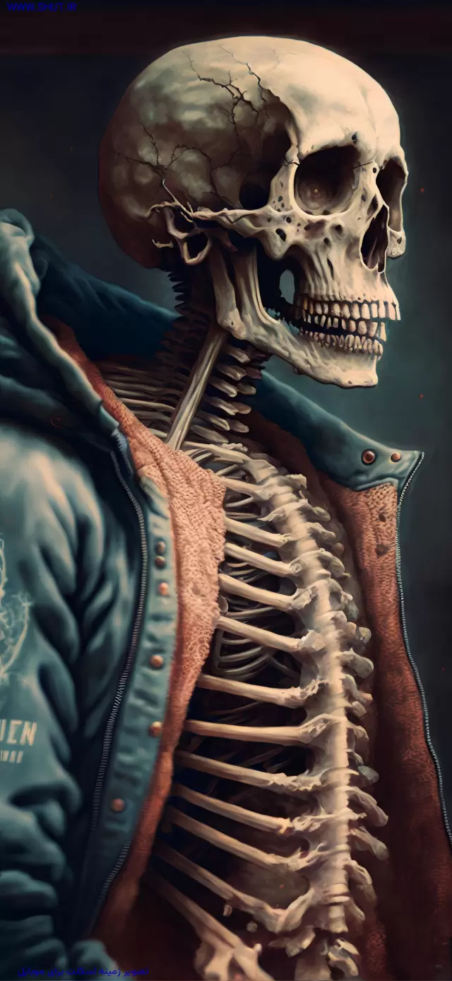 تصویر زمینه اسکلت برای موبایل