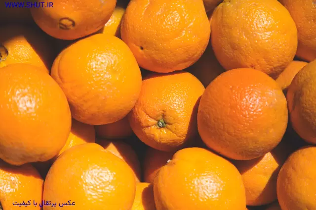 عکس پرتقال با کیفیت