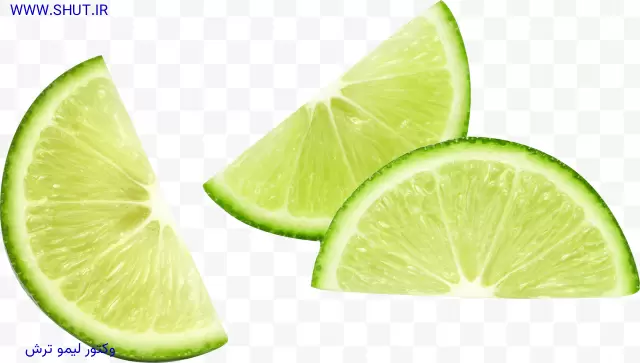 وکتور لیمو ترش