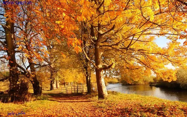 عکس پاییز