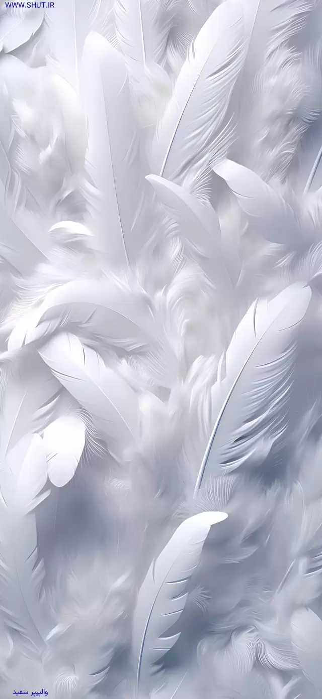والپیپر سفید