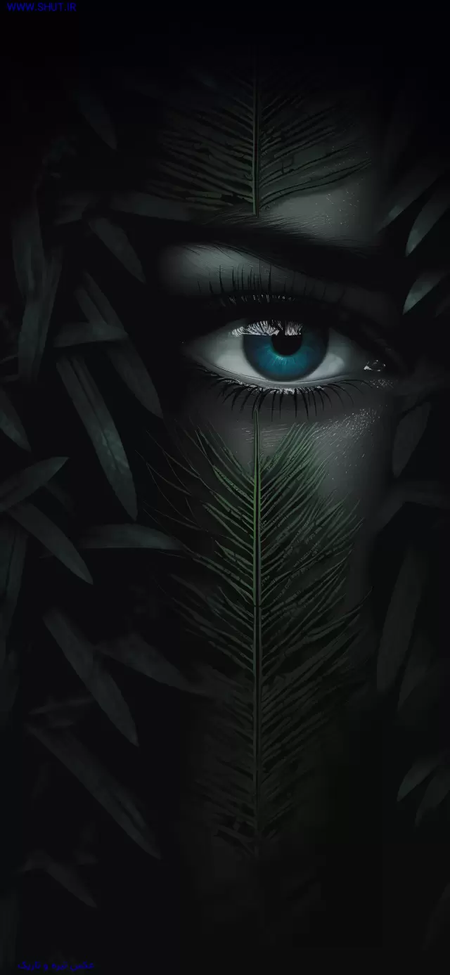 عکس تیره و تاریک