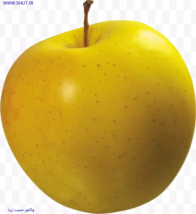 وکتور سیب زرد