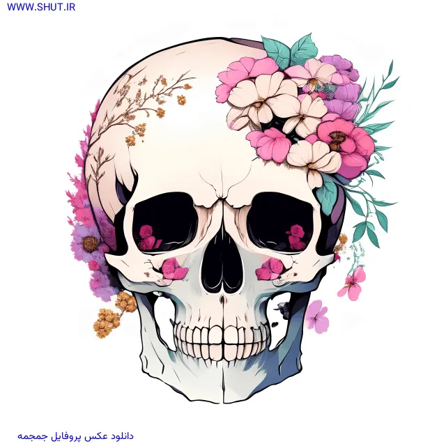 دانلود عکس پروفایل جمجمه
