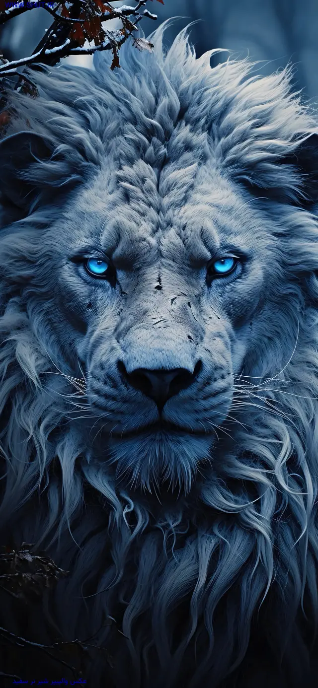 عکس والپیپر شیر نر سفید