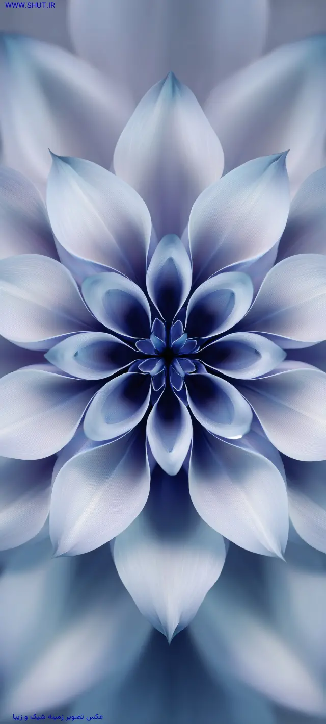 عکس تصویر زمینه شیک و زیبا