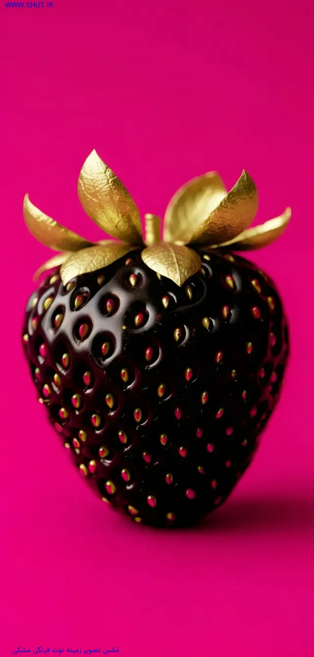 عکس تصویر زمینه توت فرنگی مشکی