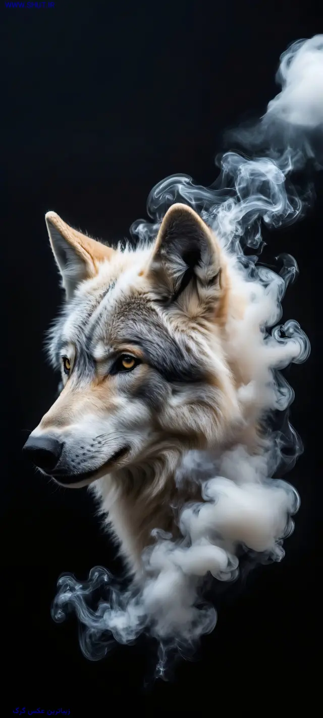 زیباترین عکس گرگ