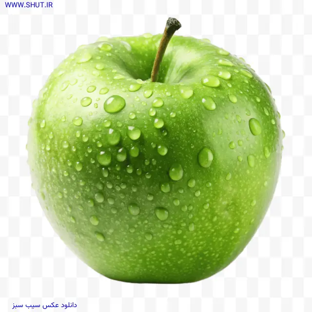دانلود عکس سیب سبز