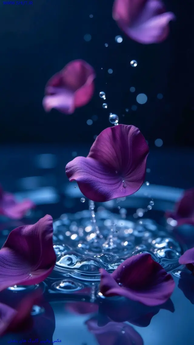 عکس والپیپر گلبرگ های بنفش