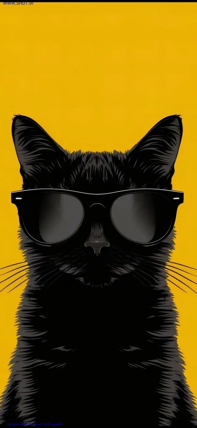 عکس گربه سیاه با عینک دودی