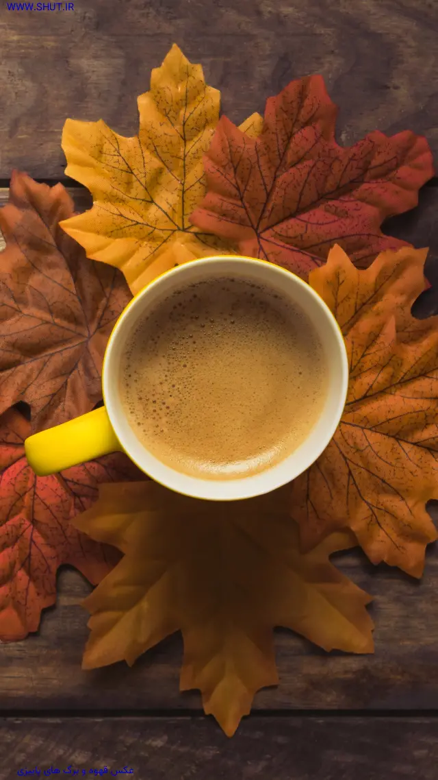 عکس قهوه و برگ های پاییزی