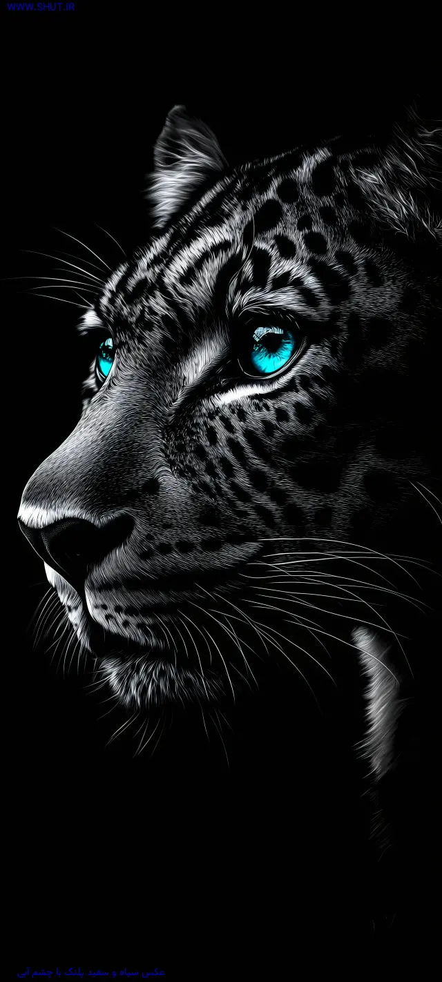 عکس سیاه و سفید پلنگ با چشم آبی