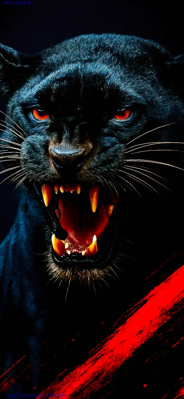 عکس پلنگ سیاه برای والپیپر گوشی