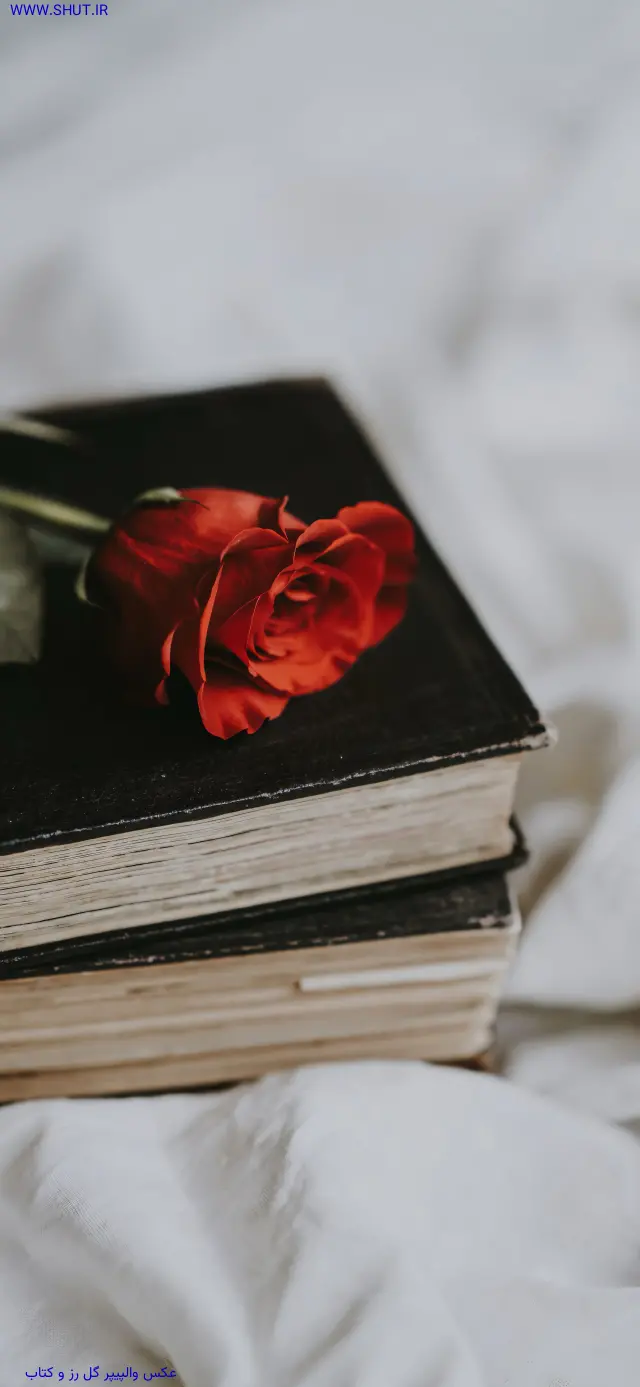عکس والپیپر گل رز و کتاب