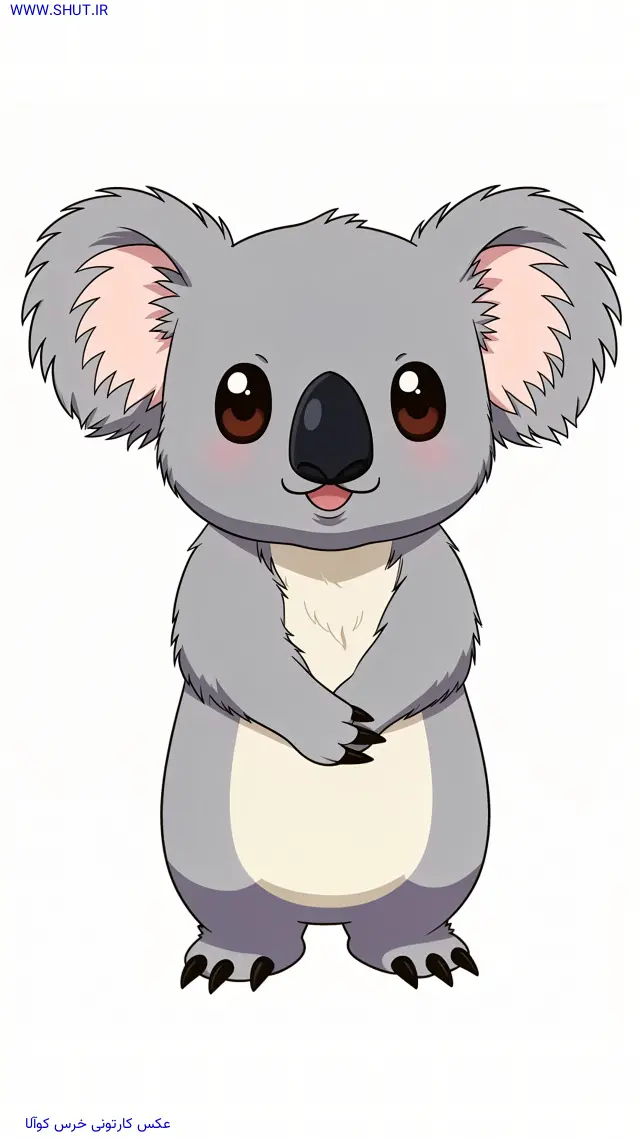 عکس کارتونی خرس کوآلا