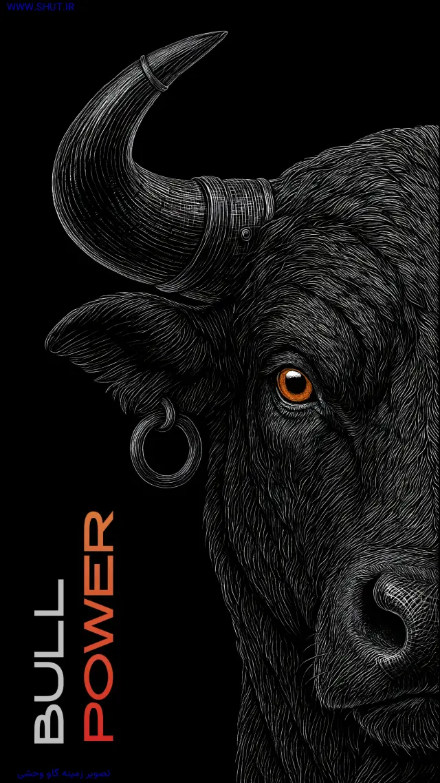 تصویر زمینه گاو وحشی