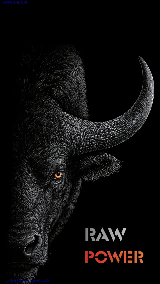 عکس تصویر زمینه گاو وحشی