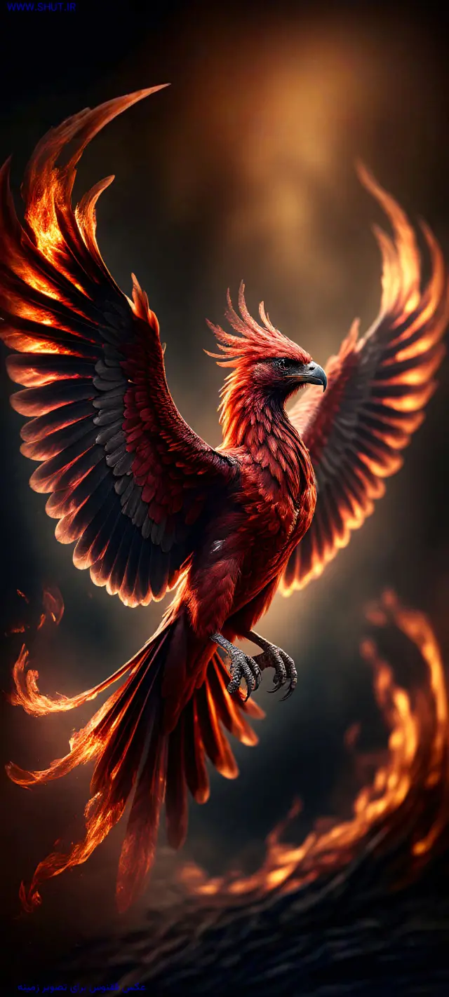 عکس ققنوس برای تصویر زمینه