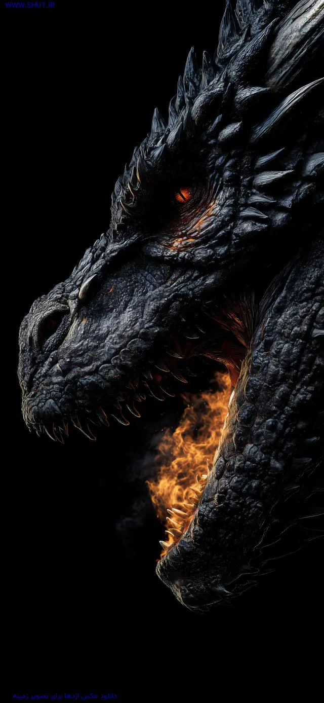 دانلود عکس اژدها برای تصویر زمینه