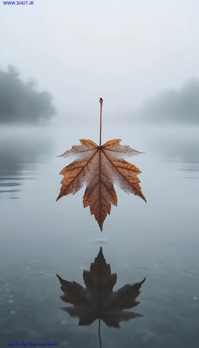 عکس پس زمینه برگ پاییزی