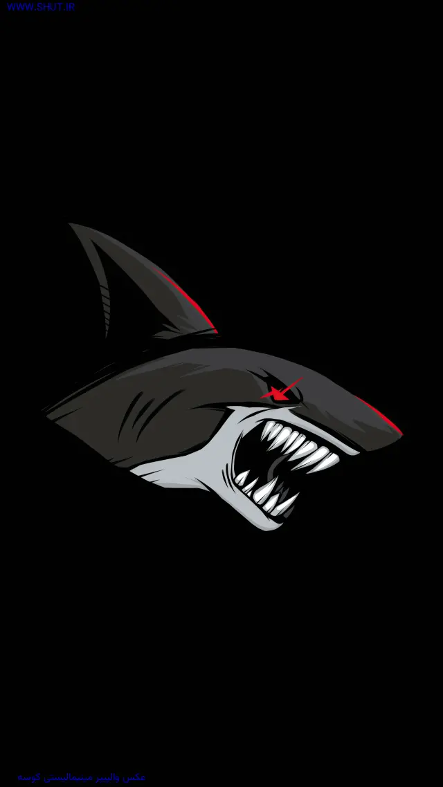 عکس والپیپر مینیمالیستی کوسه