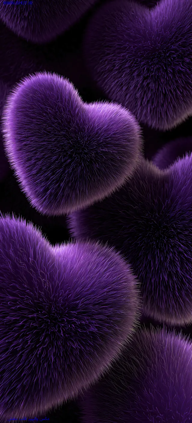 عکس والپیپر قلب بنفش