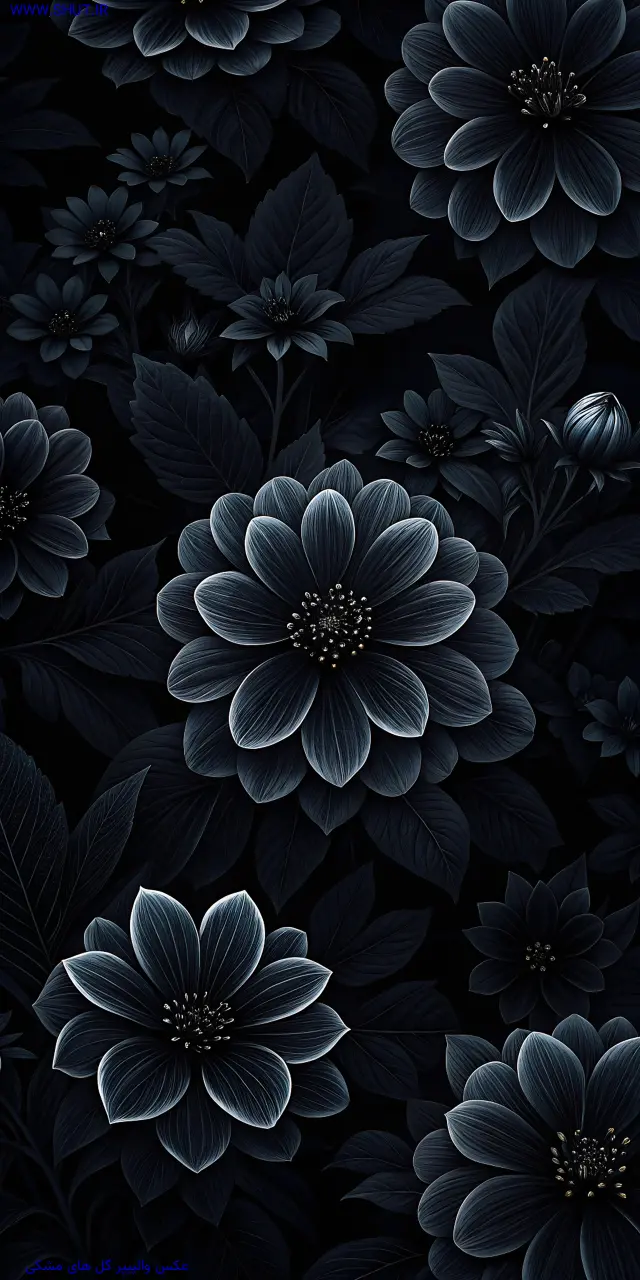 عکس والپیپر گل های مشکی