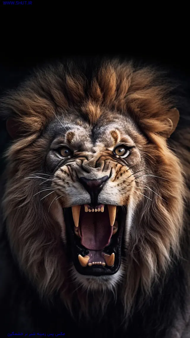 عکس پس زمینه شیر نر خشمگین