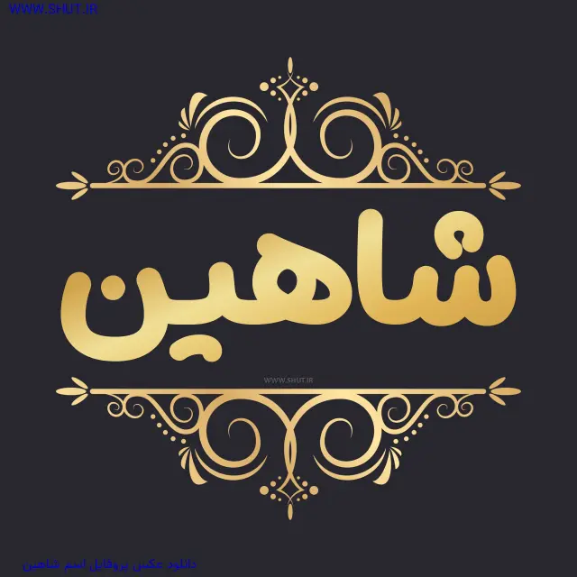دانلود عکس پروفایل اسم شاهین