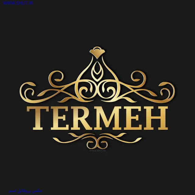 عکس پروفایل اسم TERMEH