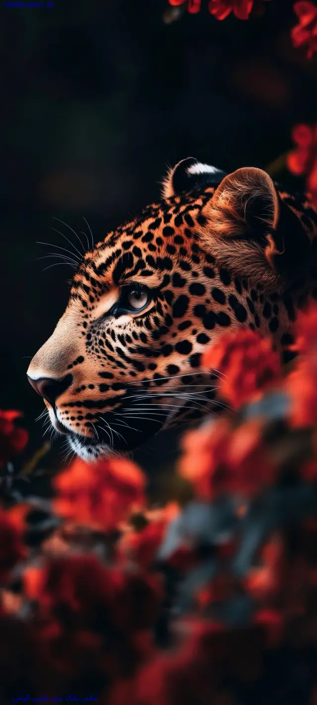 عکس پلنگ برای والپیپر گوشی