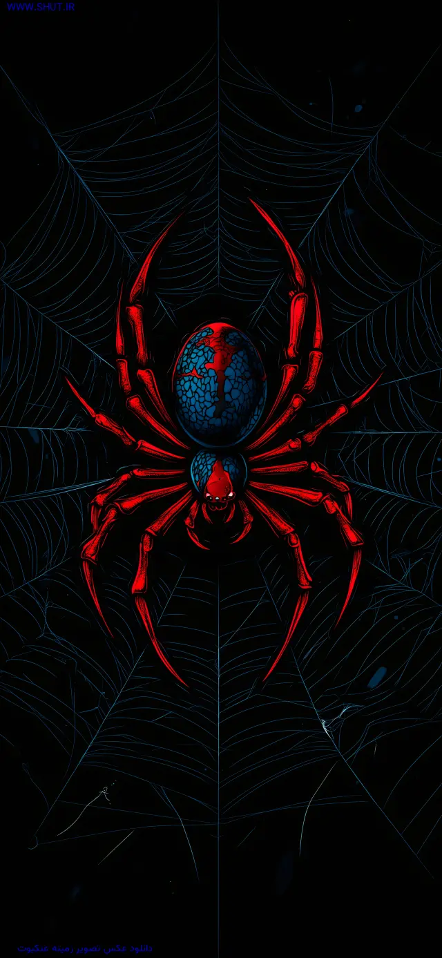 دانلود عکس تصویر زمینه عنکبوت