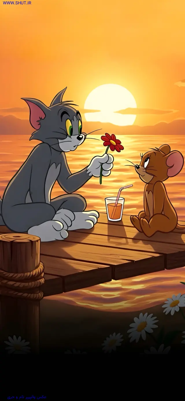 عکس والپیپر تام و جری