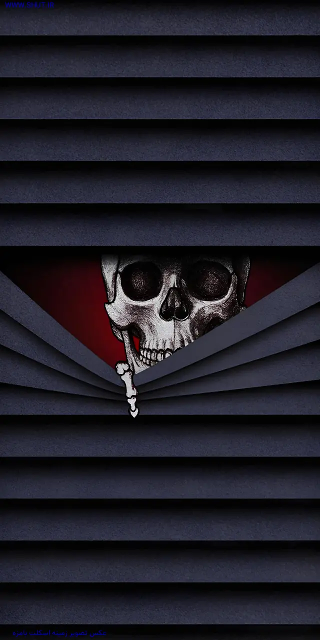 عکس تصویر زمینه اسکلت بامزه