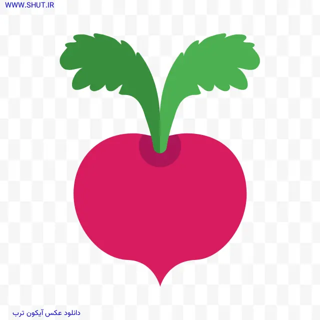 دانلود عکس آیکون ترب