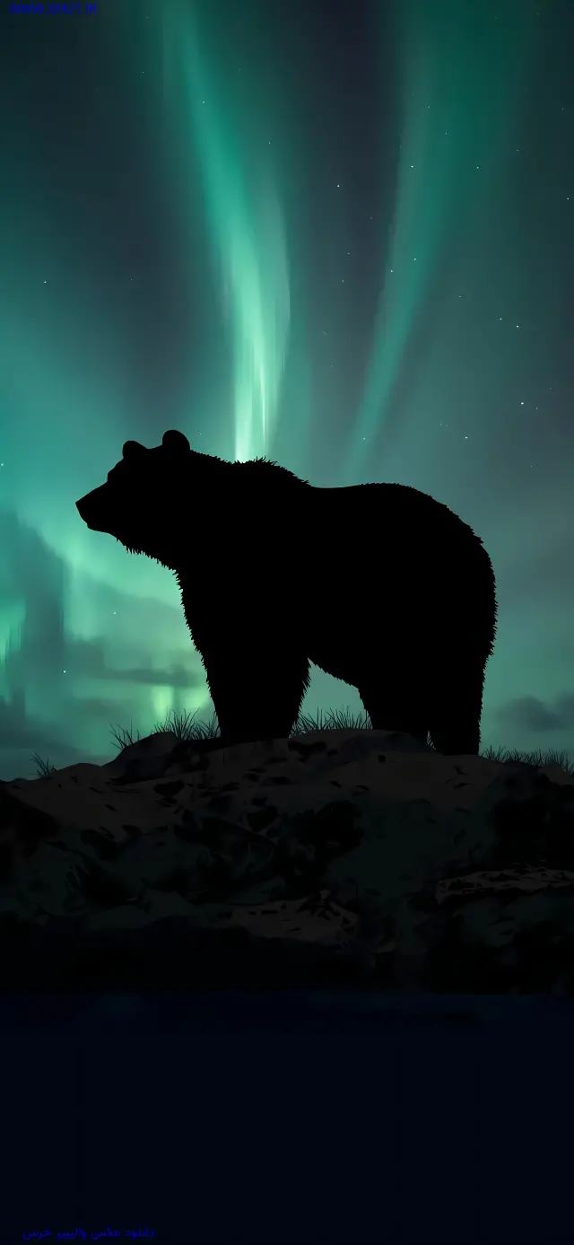 دانلود عکس والپیپر خرس