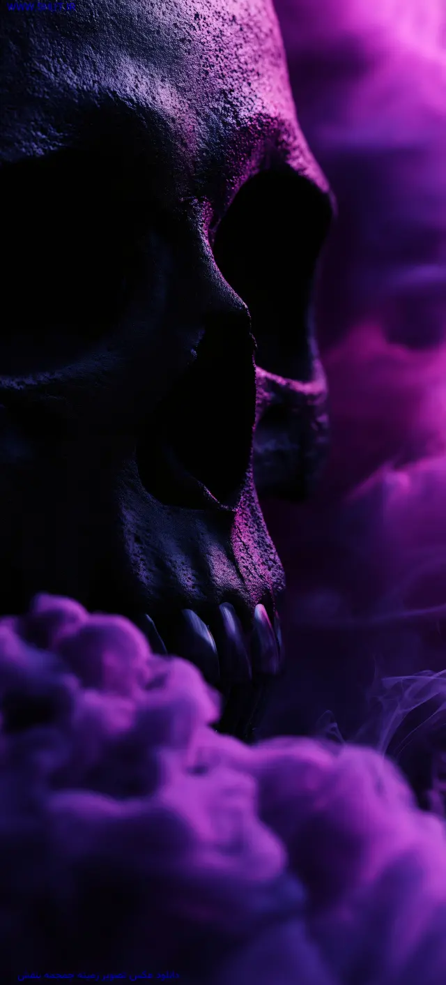 دانلود عکس تصویر زمینه جمجمه بنفش