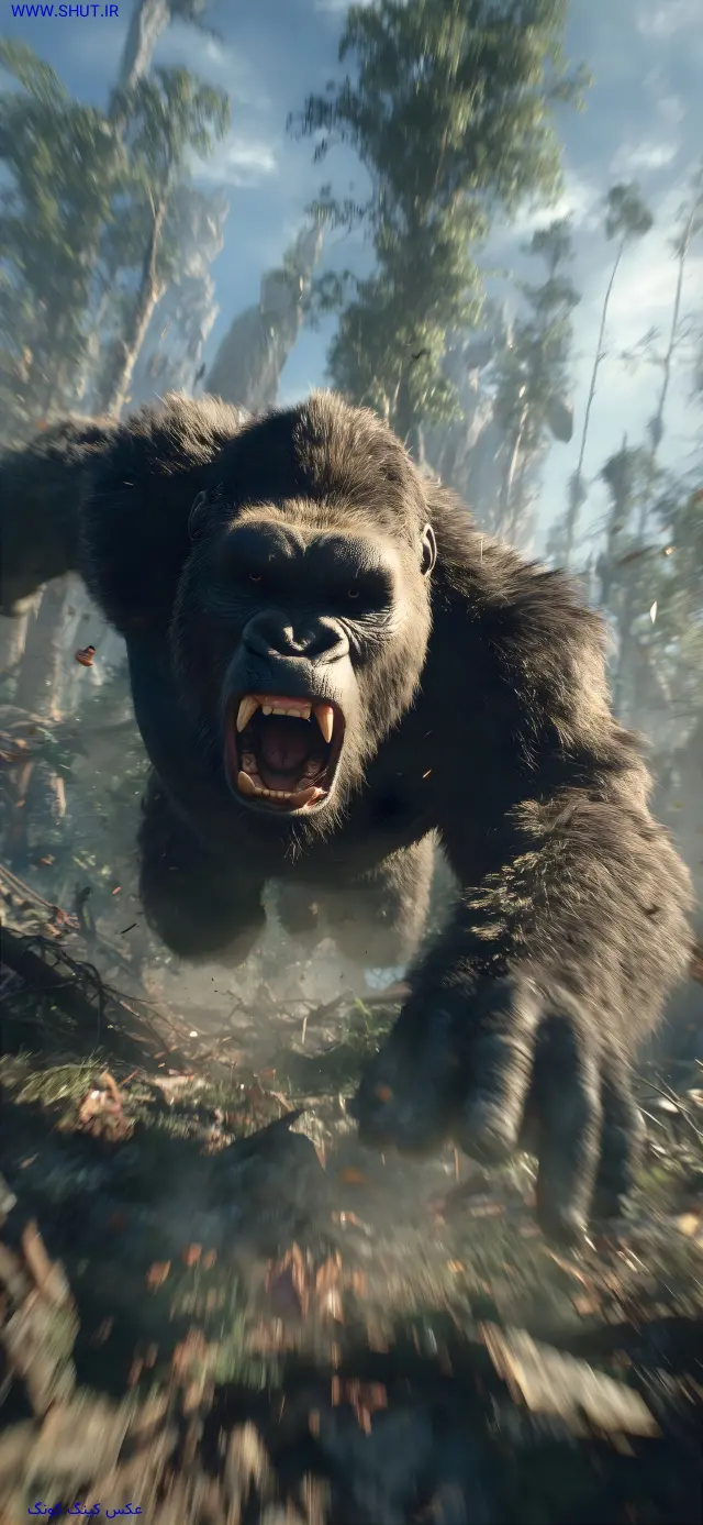 عکس کینگ کونگ